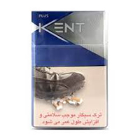 نبات چوبی ترکیبی کریستال 500 پایتخت