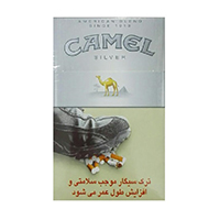 کمل کمپکت نقره ای