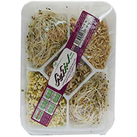 جوانه میکس سبزآرنگ