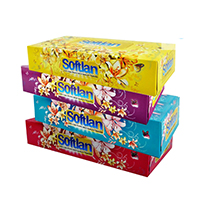 دستمال 100 برگ دو لایه سری باغ بهشت سافتلن