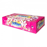 دستمال 100 برگ دو لایه سری باغ بهشت سافتلن