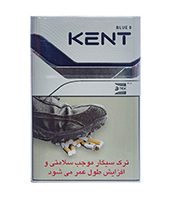 پنیر خامه ای گردویی 200 آپادا