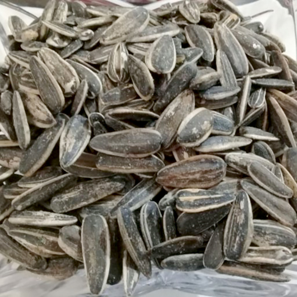 تخمه آفتابگردان اعلاء