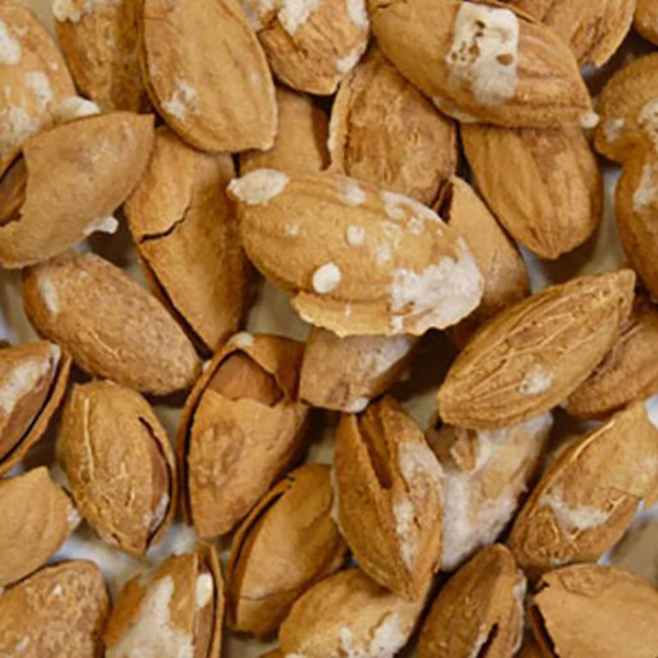 بادام پوست کاغذی شور