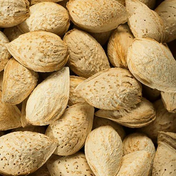 بادام پوست کاغذی خام