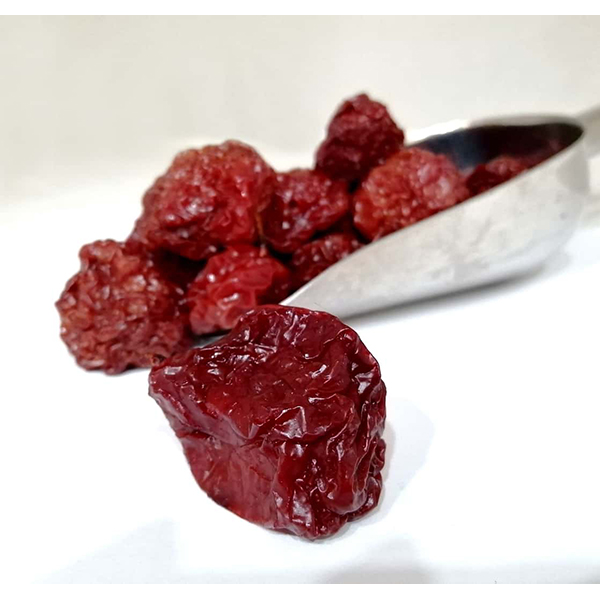 آلوچه جنگلی