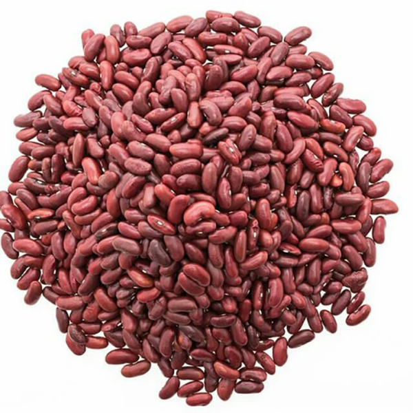 لوبیا قرمز قلمی