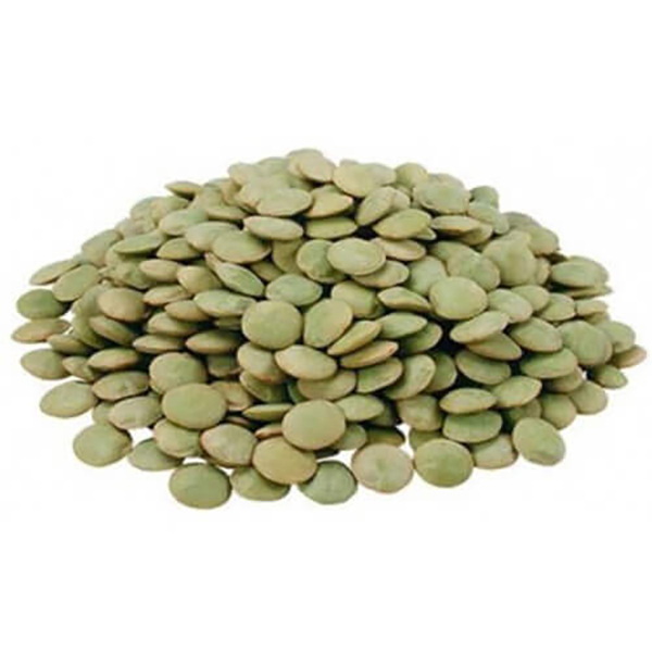 عدس سبز درشت