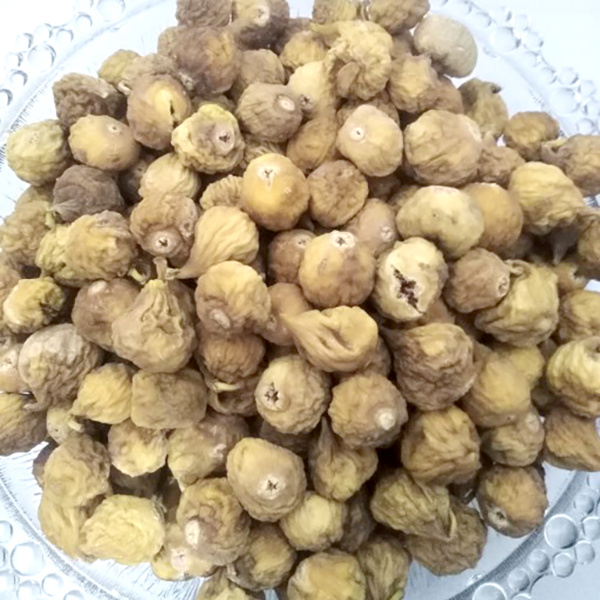 انجیر شکلاتی