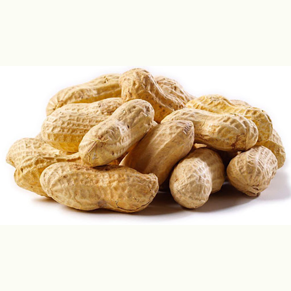 بادام زمینی خام با پوست