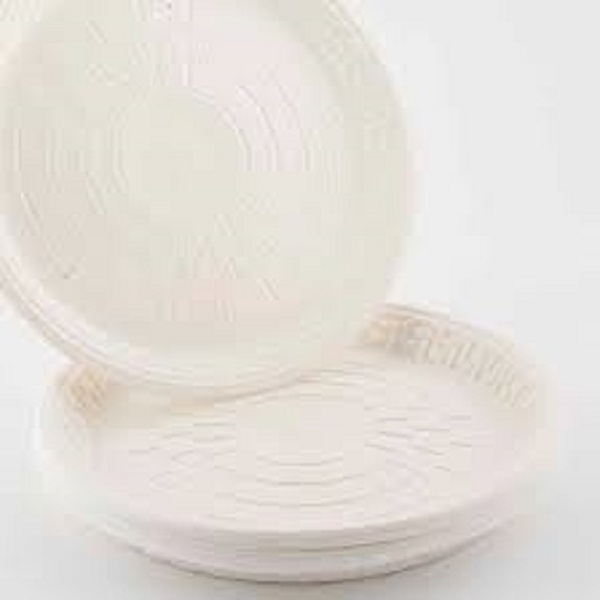 پیش دستی گیاهی 10عددی چامه