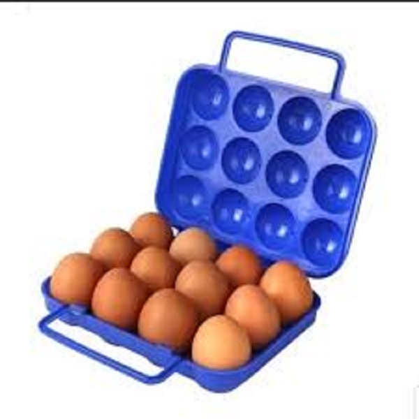 جاتخم مرغی 12خانه 8091 کاج