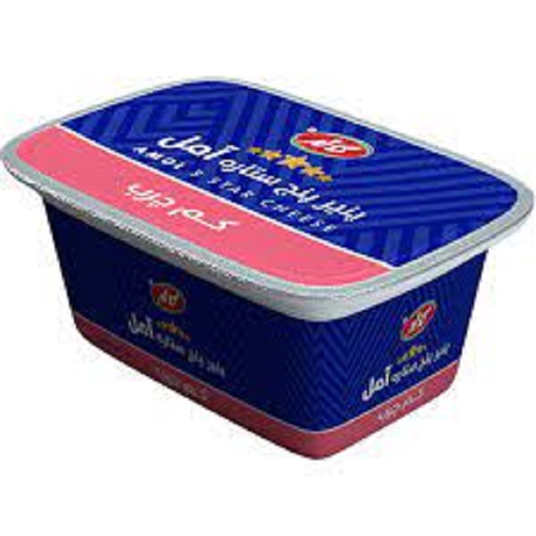 پنیر پنج ستاره آمل کم چرب 350 کاله