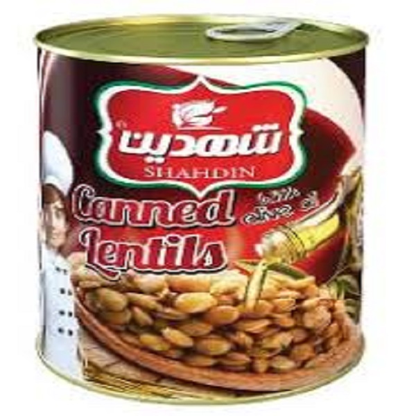 خوراک بادمجان قوطی 500 ایزی اپن نمکین *