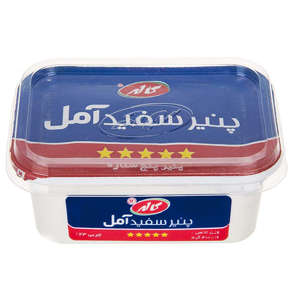 پنیر پروسس آمل کلاسیک 350 کاله